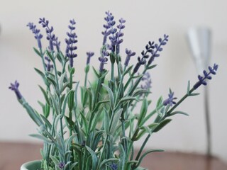 Holiday house Tzummarum  33