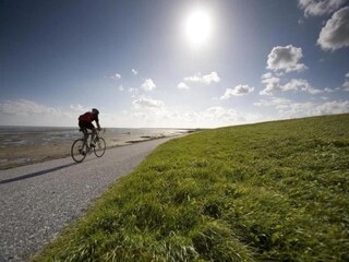 Vakantiehuis Tzummarum Omgeving 22