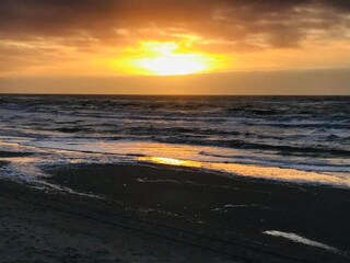 Ferienhaus Tzummarum Umgebung 29