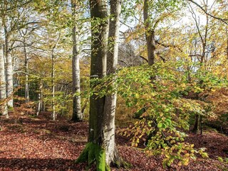 Casa per le vacanze Lyngså  24