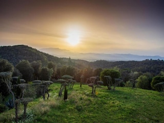 Villa Lloret de Mar Omgeving 23