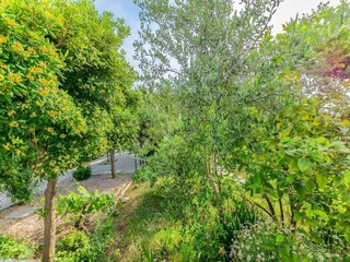 Appartement Rab (Stadt) Environnement 34