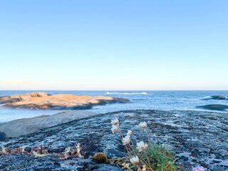 Ferienhaus Gjeving  9