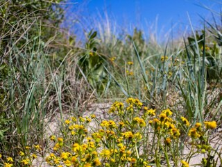 Maison de vacances Ydø  12