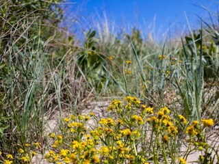 Holiday house Ydø  21