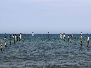 Casa per le vacanze Ydø  30