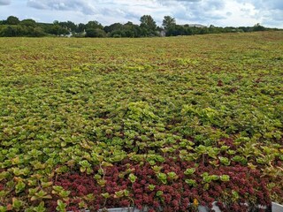 Casa de vacaciones Aalborg  38