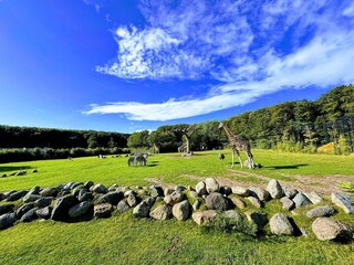 Ferienhaus Aalborg  25