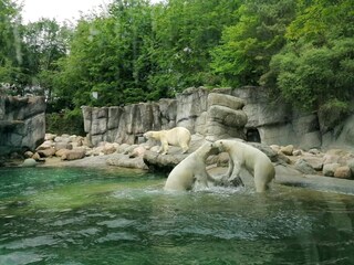 Vakantiehuis Aalborg  36