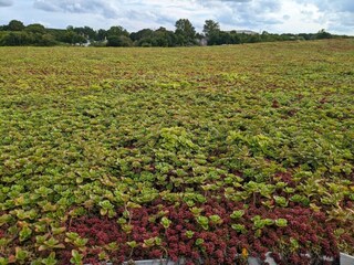 Ferienhaus Aalborg  23
