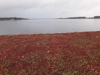 Ferienhaus Aalborg  25
