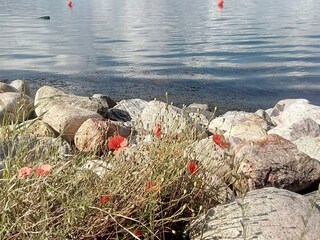 Maison de vacances Aalborg  31