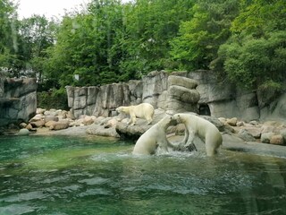 Maison de vacances Aalborg  36