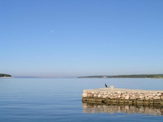 Apartment Supetarska Draga Umgebung 15