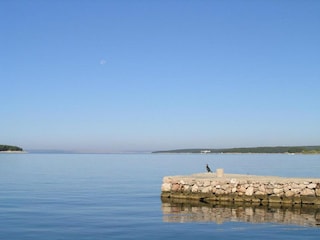 Apartment Supetarska Draga Umgebung 30