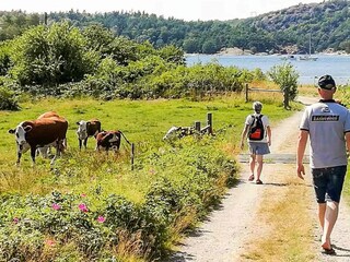 Vakantiehuis Ellös  17