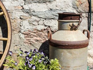 Ferienhaus Ellös Außenaufnahme 3