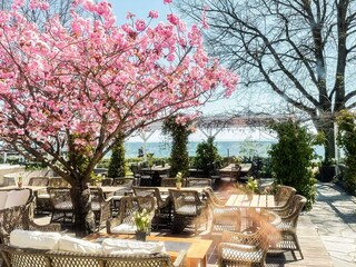 Ferienhaus Anderslöv  8