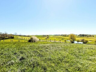 Ferienhaus Anderslöv  8