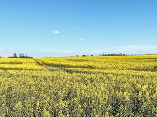 Vakantiehuis Anderslöv  14