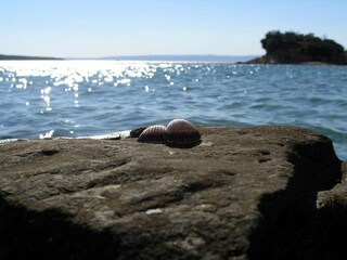 Huisboot Supetarska Draga Omgeving 25