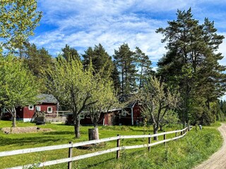 Ferienhaus Gönäs Außenaufnahme 17