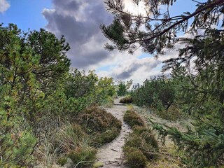 Casa per le vacanze Snedsted  31