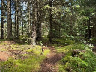 Casa de vacaciones Snedsted  12