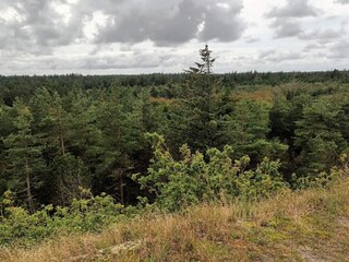 Holiday house Snedsted  25