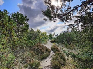 Casa de vacaciones Snedsted  33