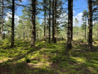 Casa de vacaciones Snedsted  18