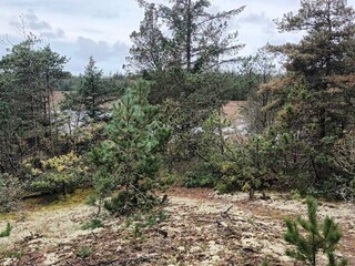 Holiday house Snedsted  14