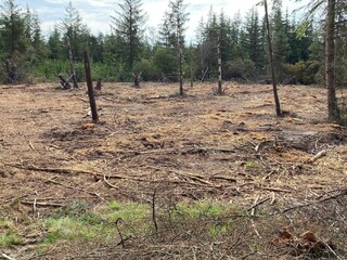 Casa de vacaciones Snedsted  31