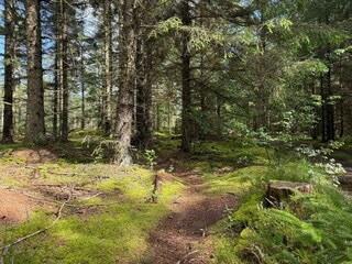 Holiday house Snedsted  17