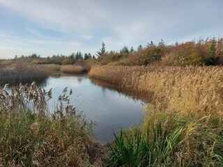 Casa per le vacanze Snedsted  22