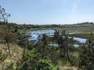 Casa per le vacanze Snedsted  17