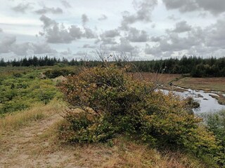 Holiday house Snedsted  30