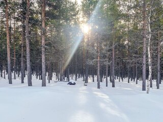 Vakantiehuis Welt  17