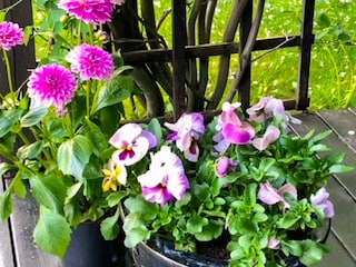 Appartement Molde  37