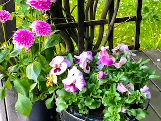 Appartement Molde  69