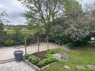 Casa de vacaciones Falkvik Grabación al aire libre 27