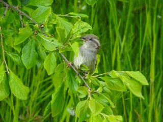 Holiday house Køge  6