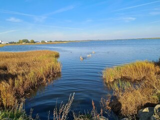 Ferienhaus Køge  28