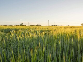 Vakantiehuis Køge  23