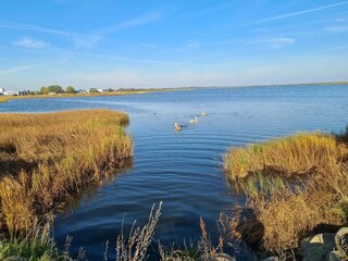 Ferienhaus Køge  39