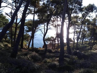 Appartamento Banjole Ambiente 21