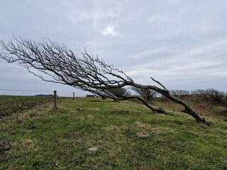 Maison de vacances Hostrup Strand  26