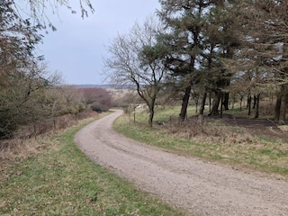 Ferienhaus Hostrup Strand  27