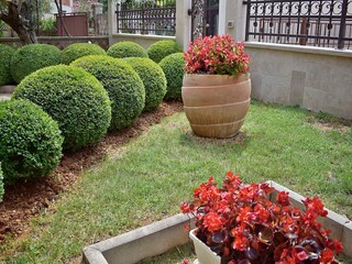 Apartment Valbandon Outdoor Recording 4