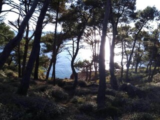 Appartamento Valbandon Ambiente 36